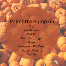 Load image into Gallery viewer, Palmetto Pumpkin
